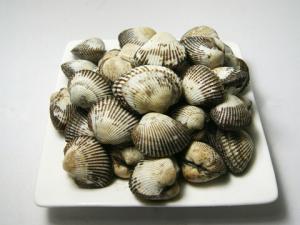 毛蚶怎么做好吃？毛蚶的簡(jiǎn)介-毛蚶的做法
