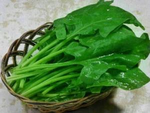 吃菠菜有什么好處？菠菜的功效與營養(yǎng)價(jià)值