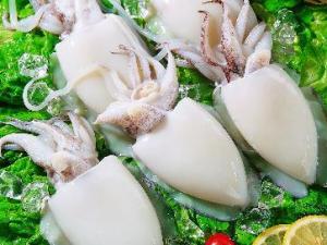 吃墨魚有什么好處？墨魚的營養(yǎng)價值
