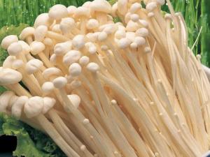 吃金針菇有什么作用？金針菇的功效與作用