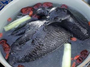 烏雞怎么吃最有營養(yǎng)？烏雞的功效與作用