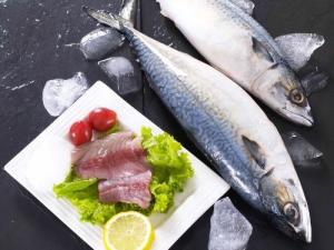 什么人適合吃鲅魚？鲅魚的營養(yǎng)價值