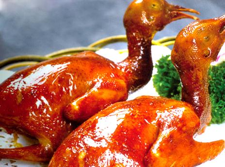 吃鴿子有什么好處?鴿子的營養(yǎng)價值