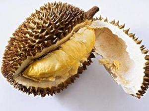 吃榴蓮有什么好處？榴蓮的功效與作用