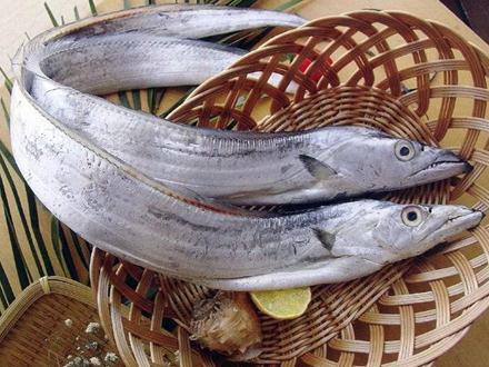 吃帶魚的好處-帶魚的營養(yǎng)價(jià)值