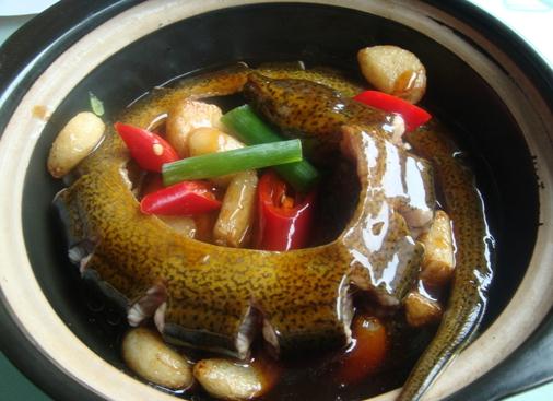 黃鱔的營養(yǎng)價(jià)值-吃鱔魚的好處