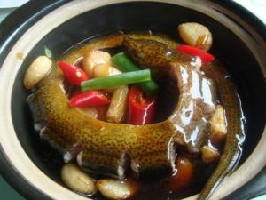 吃黃鱔魚有什么好處？黃鱔的營(yíng)養(yǎng)價(jià)值與功效