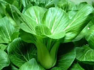 青菜的營(yíng)養(yǎng)價(jià)值、功效與作用、吃青菜的好處