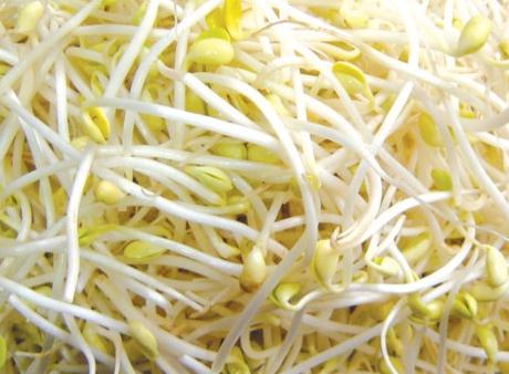 黃豆芽的營(yíng)養(yǎng)價(jià)值-黃豆芽的功效與作用