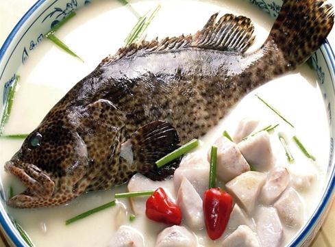 石斑魚的營(yíng)養(yǎng)價(jià)值-石斑魚的食療作用-石斑魚燉芋艿