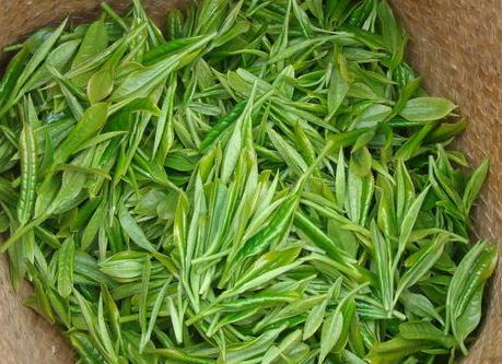 兒茶的功效與作用-兒茶的的藥用價(jià)值