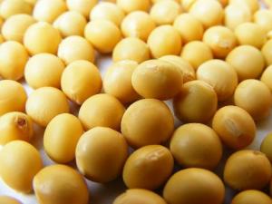 吃黃豆有什么好處？黃豆有什么營養(yǎng)價(jià)值