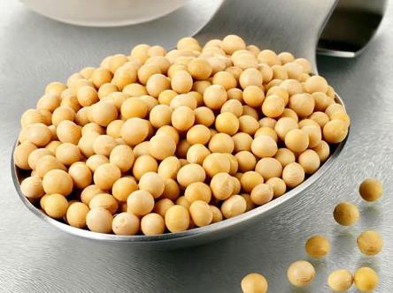 常吃黃豆有什么好處?黃豆的營(yíng)養(yǎng)價(jià)值、功效與作用