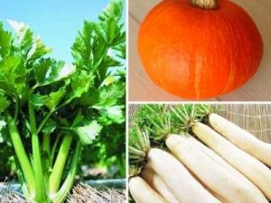 什么食物維生素a多？維生素a的作用及功能