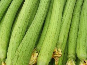 吃絲瓜好嗎？絲瓜的營養(yǎng)價值、功效與作用