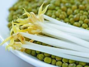 綠豆芽怎么做好吃？綠豆芽的營養(yǎng)價值、功效與作用