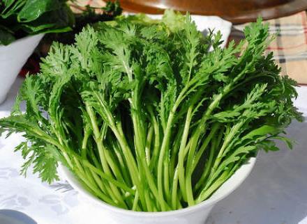 茼蒿怎么做好吃?茼蒿的營養(yǎng)價(jià)值、功效與作用