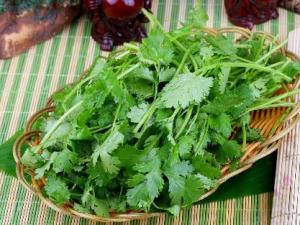 香菜怎么吃？香菜的營養(yǎng)價值、功效與作用