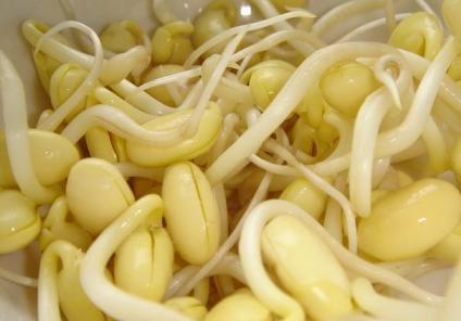吃黃豆芽好嗎?黃豆芽的營(yíng)養(yǎng)價(jià)值、功效與作用