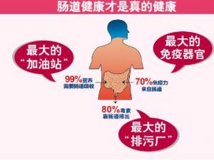 益生菌有必要買(mǎi)嗎？益生菌的作用