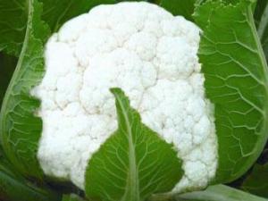 吃花菜有什么好處？花菜的營養(yǎng)價值及功效