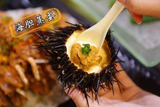 海膽的營養(yǎng)價(jià)值-海膽的種類有哪些?