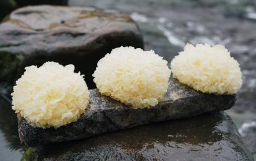 吃銀耳有什么好處?銀耳的營養(yǎng)價(jià)值和食療功效