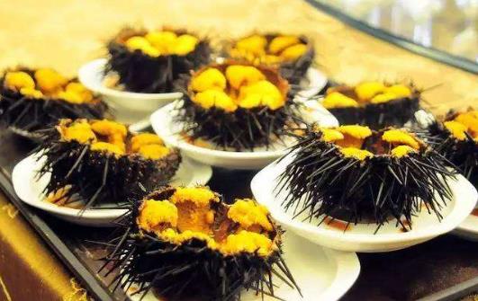 海膽的營養(yǎng)價(jià)值-海膽的種類有哪些?