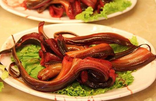 吃黃鱔魚有什么好處?黃鱔的營養(yǎng)價(jià)值與功效