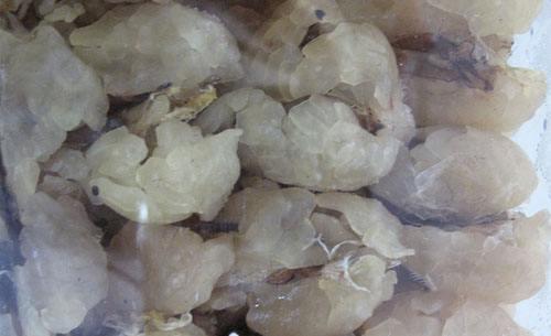 中國(guó)林蛙(雪蛤)的功效與作用 林蛙油的功效與作用及食用方法