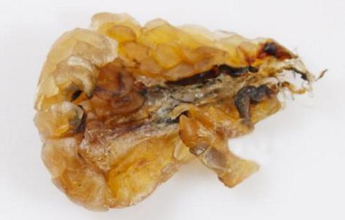 中國(guó)林蛙(雪蛤)的功效與作用 林蛙油的功效與作用及食用方法