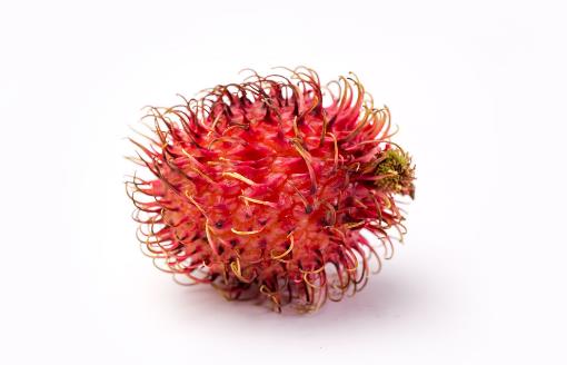 紅毛丹好吃嗎?紅毛丹不能和什么一起吃 紅毛丹的營(yíng)養(yǎng)