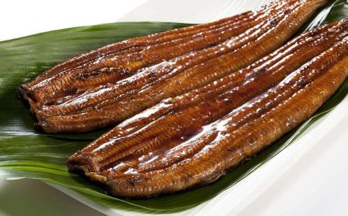 日本鰻遇嚴重魚荒 鰻魚的營養(yǎng)價值 吃鰻魚有6大好處