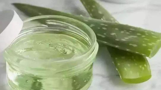 吃蘆薈有哪些副作用?蘆薈有哪些藥用價(jià)值?
