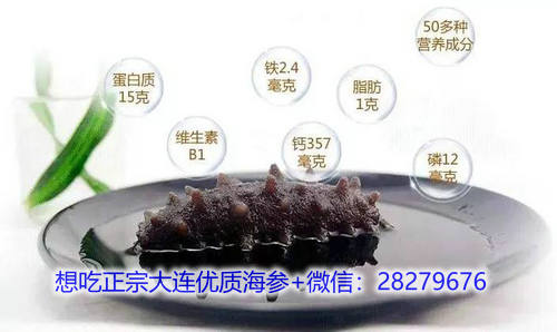 海參的營養(yǎng)價值和功效你都知道嗎?吃海參能補什么? 海參營養(yǎng).jpg