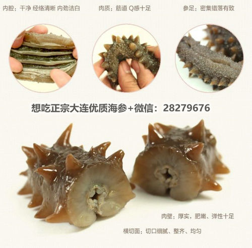 海參的營養(yǎng)價值和功效你都知道嗎?吃海參能補什么? src=http___img004.file.rongbiz.cn_uploadfile_201412_09_11_11-41-13-73-836596.png&refer=http___img004.file.rongbiz.jpg