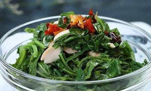 苦菜是涼性還是熱性的? 苦菜腌制酸菜的做法是什么?