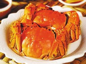 如何挑選陽澄湖大閘蟹？大閘蟹是母蟹好還是公蟹好