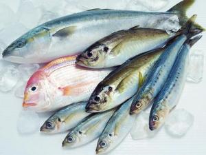 如何區(qū)別冰鮮魚與速凍魚？鑒別海鮮干品質量好壞方法