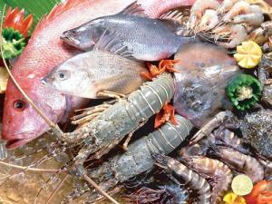如何挑選新鮮海鮮？如何選購(gòu)新鮮的魚蝦蟹