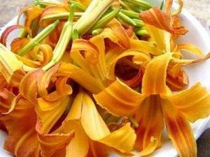 如何預(yù)防鮮黃花菜中毒？鮮黃花菜的制作方法