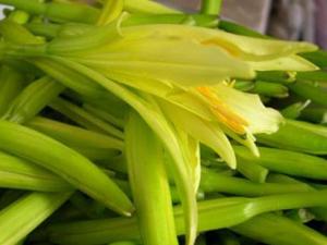 黃花菜怎么做好吃？黃花菜的吃法