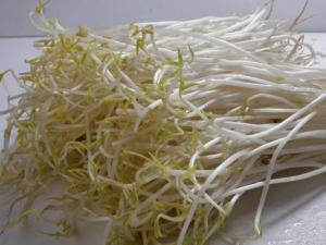 如何挑選優(yōu)質(zhì)豆芽？豆芽的挑選方法