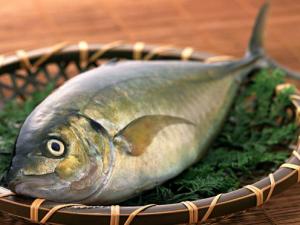 如何挑選新鮮的魚？挑選新鮮魚的方法