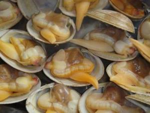 黃蜆子怎么去沙子？黃蜆子的清洗方法