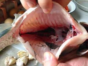 怎么去除手上的魚腥味？手上的魚腥味去除方法