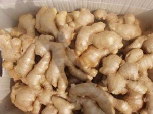夏季如何保存生姜？夏季保存生姜的小竅門