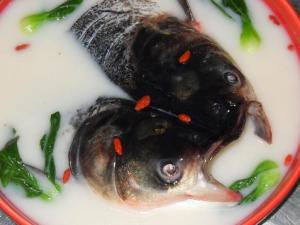 怎樣做魚頭好吃？魚頭的各種吃法