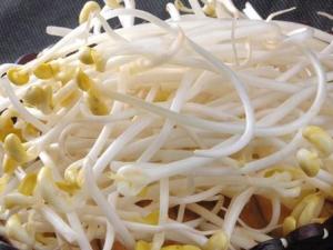 如何識別化學(xué)豆芽？化學(xué)豆芽怎么鑒別