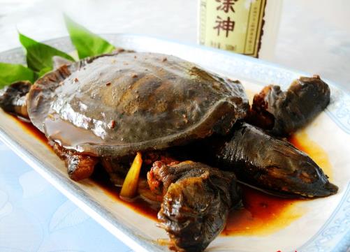甲魚(yú)怎么做好吃?甲魚(yú)的做法與技巧